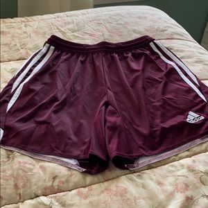 Exercise Shorts
